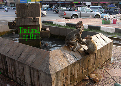Thailand, Lop Buri, Monkeys city